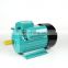 2.2 KW, 3 HP Single Phase Electric Motor 220V YL Series  one phase induction motor
