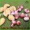 China Shandong Potato Export Fresh Shandong Potato And Garlic