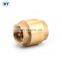BT5002 brass check valve