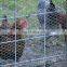 Hexagonal Galvanized Iron Wire Mesh Fence Chicken Mesh Wire