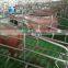 plastic slats, slatted flooring Animal husbandry farm equipment for swine, pig flooring