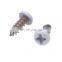 Dongguan screw plastic thread forming self tapping screw