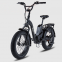 CE Small Foldable 20 Inch Fat Tyre Road Bike Electric 250W 500W 1000W