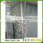 top quality china dongjian White granite