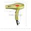 Ionic Professional Hair Dryer, 1200W to 2000W