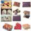 Pulp Moulding Egg Fruit Tray Machine Recycling Waste Paper Egg Tray Machine With CE Approved