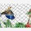 100% New Virgin HDPE Anti Bird Net For Catching Birds Protection Net