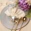 Cheap Vintage Glass Gold Silver Rimmed Wedding Under Plate Charger Wholesale