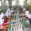 Design canning flounder processing line with cheap price