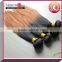 Hot sale remy two tone Brazilian body wave brazilian ombre hair weaves