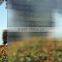 3-4mm clear patterned glass