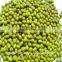 China heilongjiang green mung beans ( food grade)                        
                                                Quality Choice