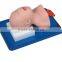 Advanced multi functional airway management model