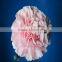 Exporters of Good Quality Fresh Cut Flowres Carnations in Bulk From Qingyi