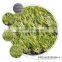 Outdoor Cheap price artificial synthetic fake grass carpet