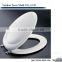 supply various toilet seat /toilet cover mould