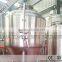 professional beer brewing machine manufacturers