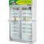 standing ice cream display freezer