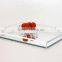 Custom plastic acrylic plexiglass cocktail serving tray