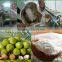 high quality Desiccated coconut