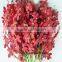 Thanksgiving Day Natural Black Orchid Flowers For Sale For Wedding