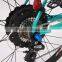 700C Carbon fiber high standard electric bicycle with 8 fun motor (Model YAKE MG)