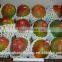 Wholesale in California EPE Foam Material and Food Industrial Use Fruit Packing Net For Mango