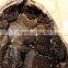 Dragon Egg Septarian Crystal Stone Geodes Turtle Stone Geodes Wholesale