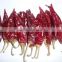 American red chilli new crop export hot with or without stem