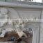 Outdoor and Indoor White Natural Marble Carving Stone Fireplace Prices