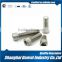 China Supplier High Quality Tensile Strength Titanium Bolt M5 DIN7984
