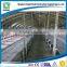 Useful steel structure design poultry farm shed