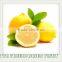 TTN 2016 Wholesale Snacks Freeze Dried Fruit Bulk Dried Lemon Price