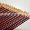 Hot selling new arrive painting brush