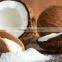 Vietnam best desiccated coconut, small shavings, low and high fat, high quality
