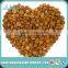 Conventional Bitter Apricot Kernels