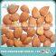Apricot Kernels (B17)