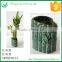 Straight Lucky Bamboo Small Flower Arrangements Pot