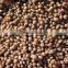 Chemical Fertilizer Supplier
