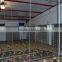 Poultry fan/broiler breeder house fan/chicken fan/egg fan/cone fan/chicken farm