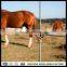 horse fencewire fencingfixed knot woven wire fence