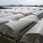 vegetable greenhouse