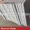 Newstar G633 Bullnose Countertop White Pearl Granite