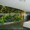 Green grass climbing wall clad decoration