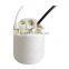 CE RoHS certificated E26 E27 glazed ceramic lampholder with cable