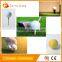 4 pcs tournament golf ball high quality eco-friendly