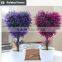 Lucky heart plants for home artificial small potted plants