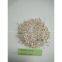 Super Quality Silica Sand In Glass Industry