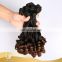 Super Double Drawn Best One Donor Human Virgin Hair Funmi Rose Curl