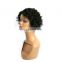 short curly wig human hair lace front wig